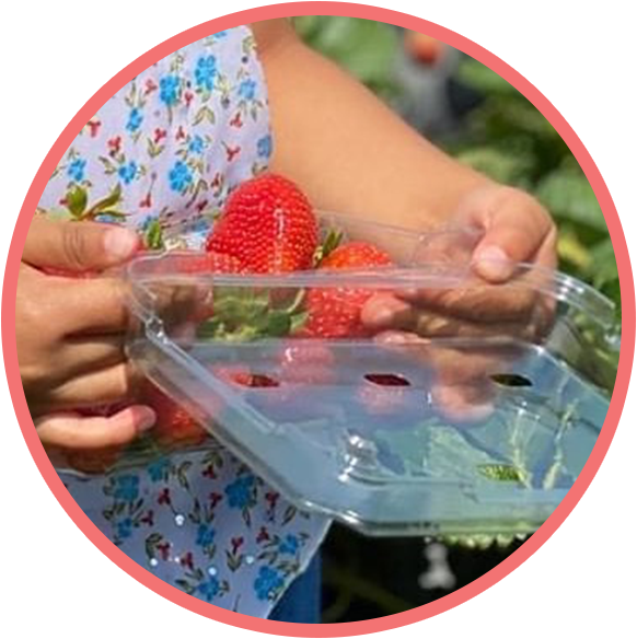 Strawberries