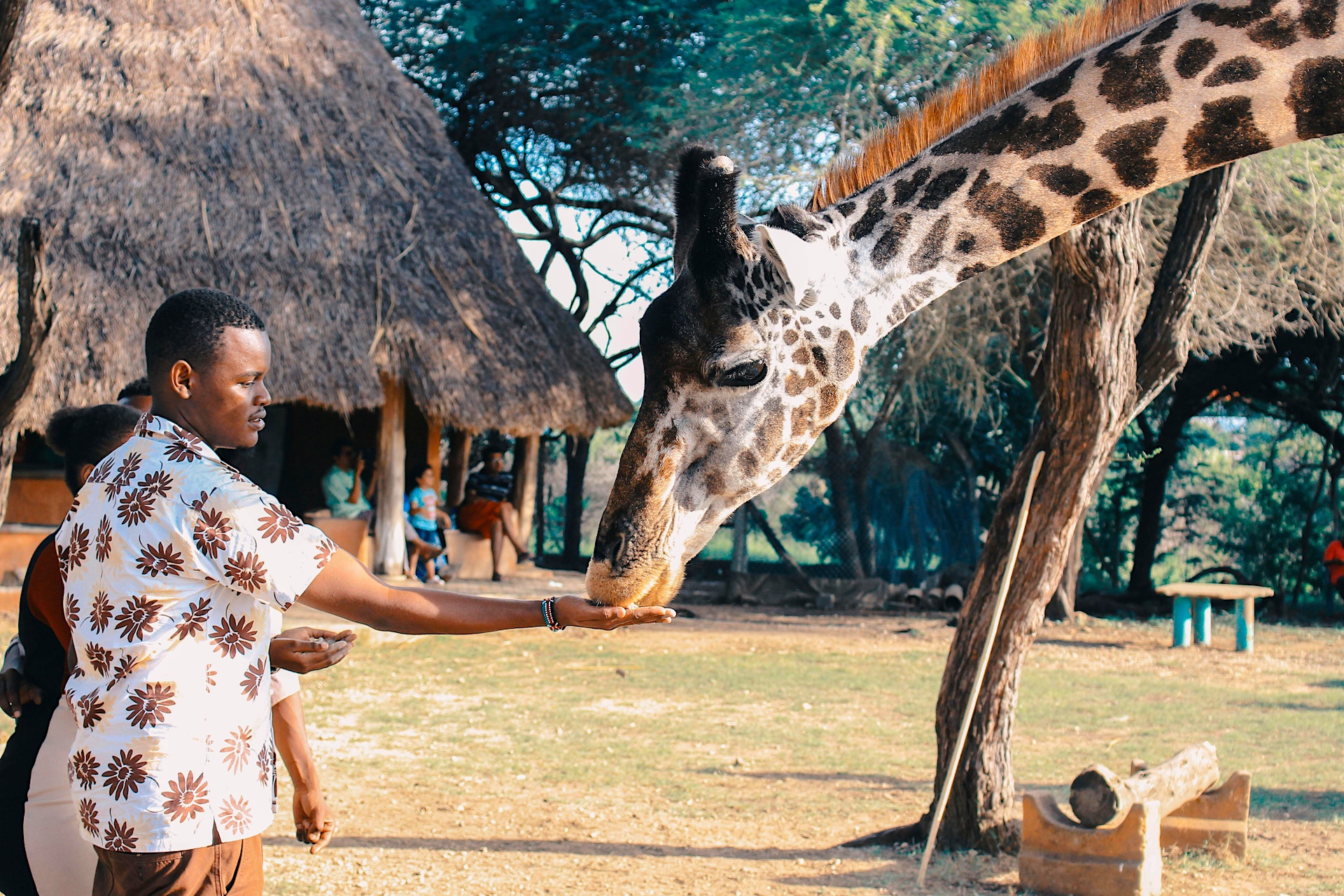African american family safari adventure in cape town, south africa, exciting and educational for children.