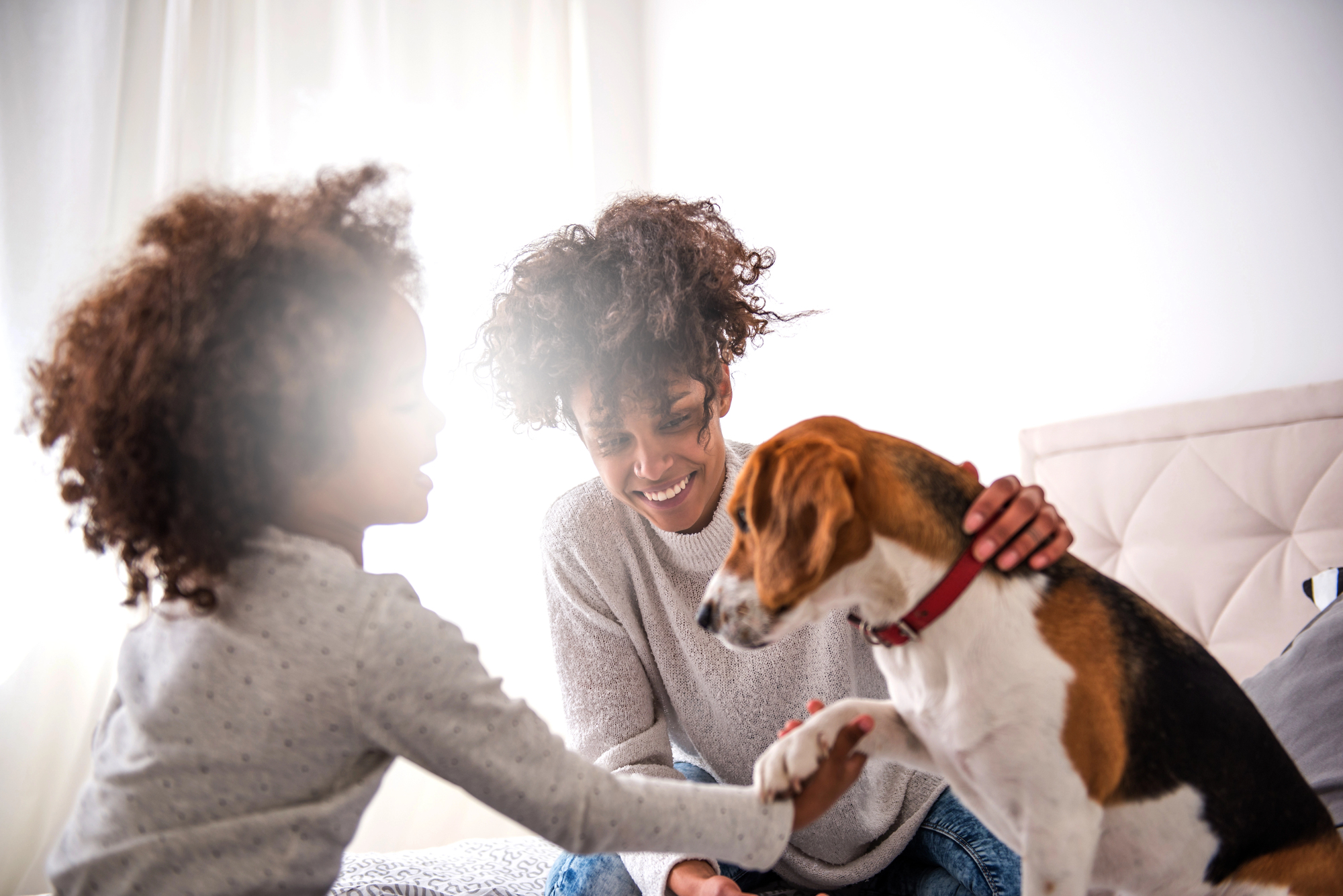 An african american mom and daughter playing with their dog for 10 things kids and dogs can teach each other about trust